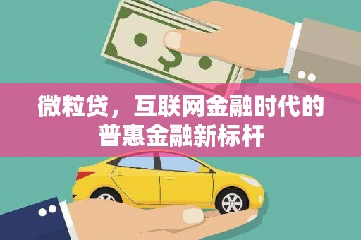 江东微粒贷，互联网金融时代的普惠金融新标杆