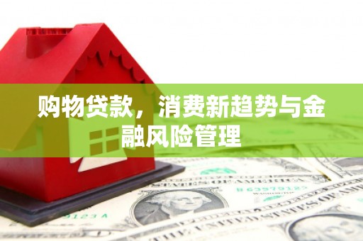 江东购物贷款，消费新趋势与金融风险管理