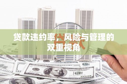 江东贷款违约率，风险与管理的双重视角