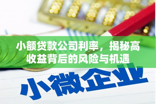 江东小额贷款公司利率，揭秘高收益背后的风险与机遇
