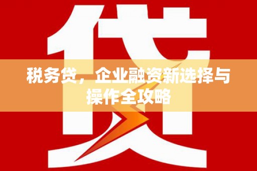 江东税务贷，企业融资新选择与操作全攻略