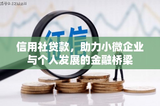 江东信用社贷款，助力小微企业与个人发展的金融桥梁