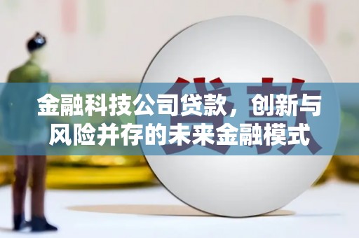 江东金融科技公司贷款，创新与风险并存的未来金融模式