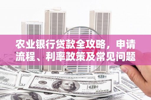 江东农业银行贷款全攻略，申请流程、利率政策及常见问题解析