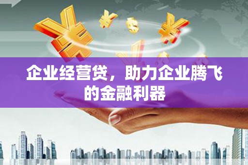 江东企业经营贷，助力企业腾飞的金融利器