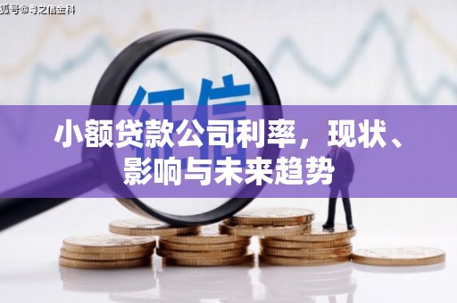 江东小额贷款公司利率，现状、影响与未来趋势