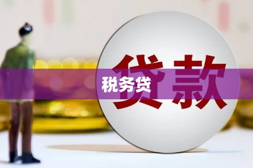 江东税务贷