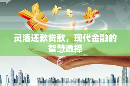 江东灵活还款贷款，现代金融的智慧选择