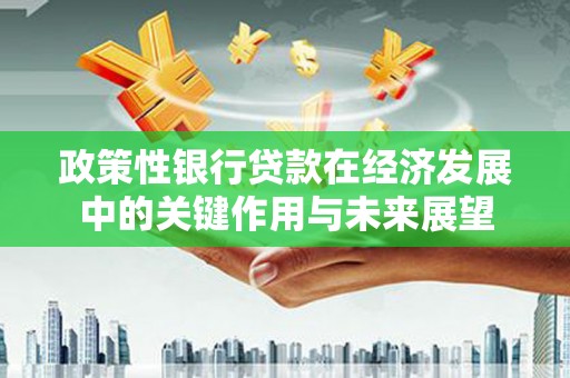 江东政策性银行贷款在经济发展中的关键作用与未来展望