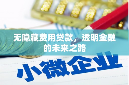 江东无隐藏费用贷款，透明金融的未来之路