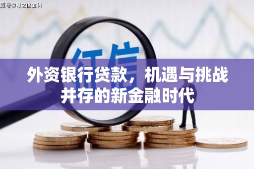 江东外资银行贷款，机遇与挑战并存的新金融时代