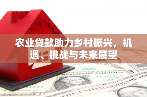 江东农业贷款助力乡村振兴，机遇、挑战与未来展望