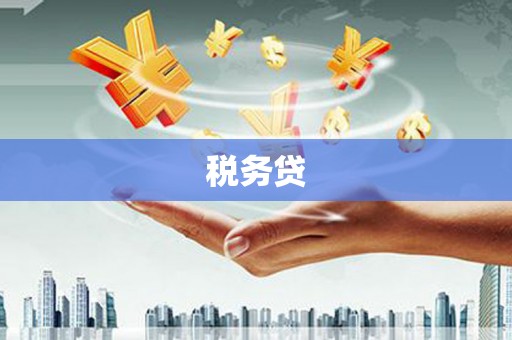 江东税务贷