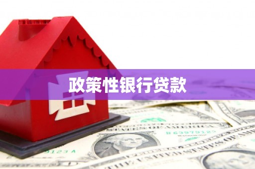 江东政策性银行贷款