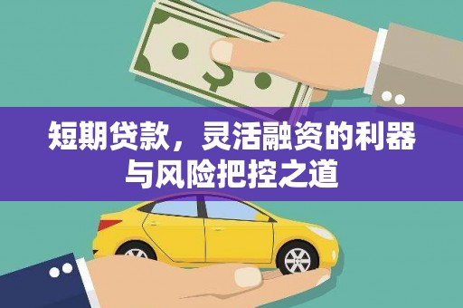 江东短期贷款，灵活融资的利器与风险把控之道