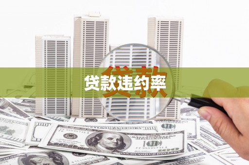 江东贷款违约率