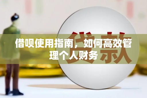 江东借呗使用指南，如何高效管理个人财务