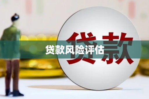 江东贷款风险评估