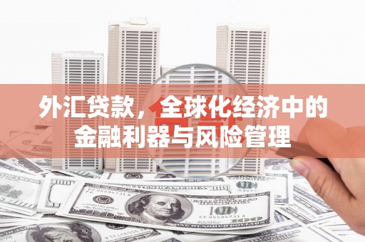 江东外汇贷款，全球化经济中的金融利器与风险管理
