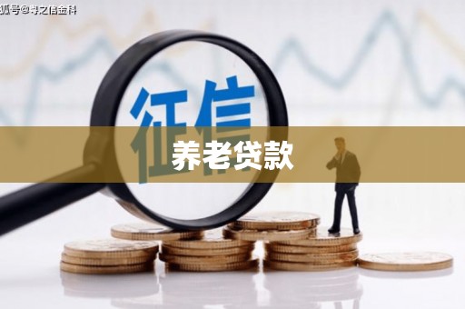 江东养老贷款
