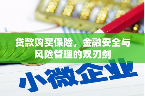 江东贷款购买保险，金融安全与风险管理的双刃剑