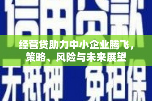 江东经营贷助力中小企业腾飞，策略、风险与未来展望