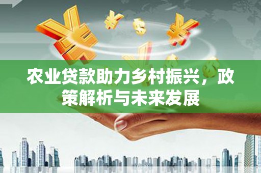 江东农业贷款助力乡村振兴，政策解析与未来发展