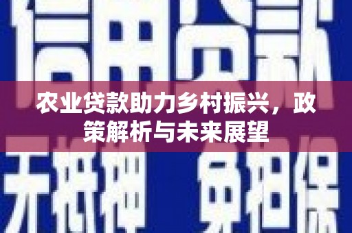 江东农业贷款助力乡村振兴，政策解析与未来展望