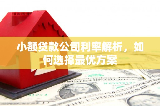 江东小额贷款公司利率解析，如何选择最优方案