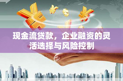 江东现金流贷款，企业融资的灵活选择与风险控制