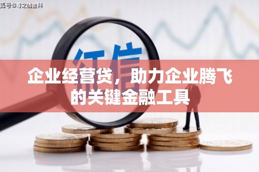 江东企业经营贷，助力企业腾飞的关键金融工具