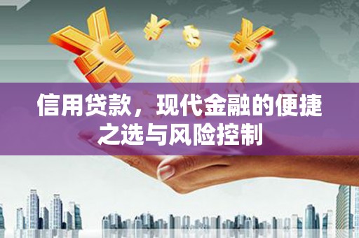 江东信用贷款，现代金融的便捷之选与风险控制