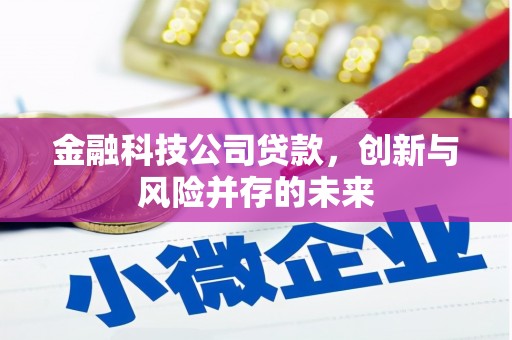江东金融科技公司贷款，创新与风险并存的未来