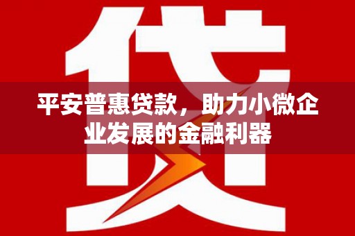 江东平安普惠贷款，助力小微企业发展的金融利器