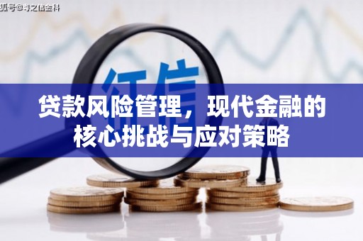 江东贷款风险管理，现代金融的核心挑战与应对策略