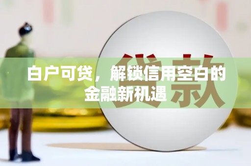 江东白户可贷，解锁信用空白的金融新机遇