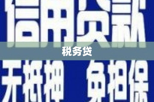 江东税务贷