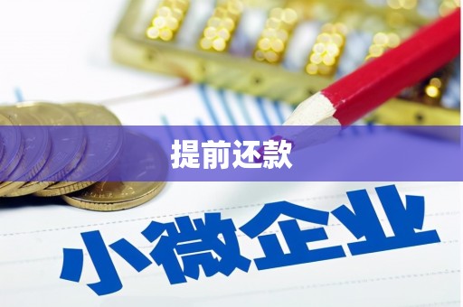江东提前还款