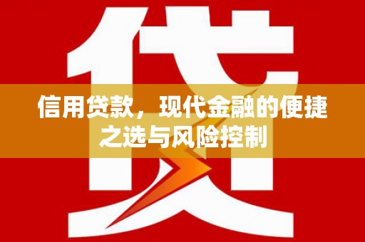 江东信用贷款，现代金融的便捷之选与风险控制