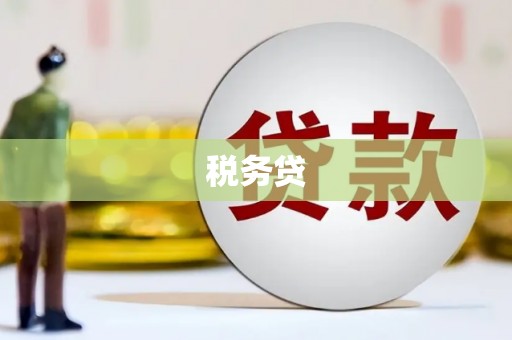 江东税务贷