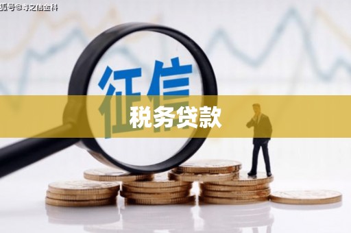 江东税务贷款