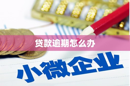 江东贷款逾期怎么办