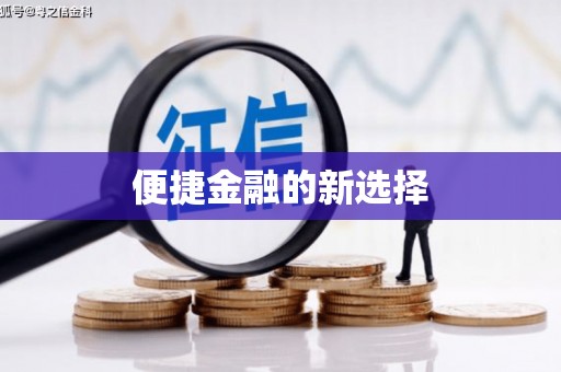 江东便捷金融的新选择