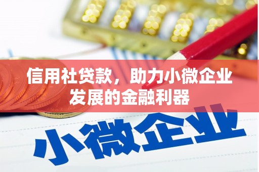 江东信用社贷款，助力小微企业发展的金融利器