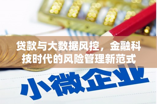 江东贷款与大数据风控，金融科技时代的风险管理新范式