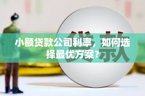江东小额贷款公司利率，如何选择最优方案？