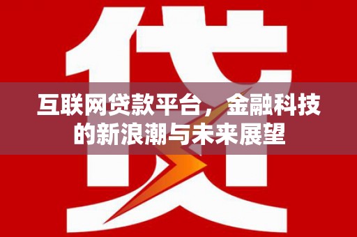江东互联网贷款平台，金融科技的新浪潮与未来展望