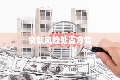 江东贷款风险处置方案