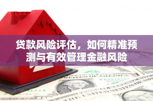 江东贷款风险评估，如何精准预测与有效管理金融风险