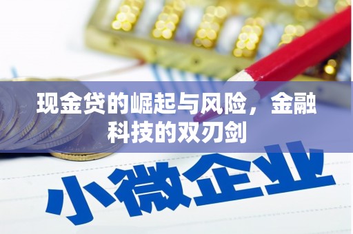 江东现金贷的崛起与风险，金融科技的双刃剑